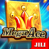 Play Time Mega Ace card slot