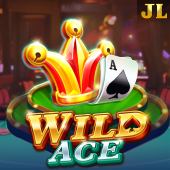 Play Time Wild Ace slot